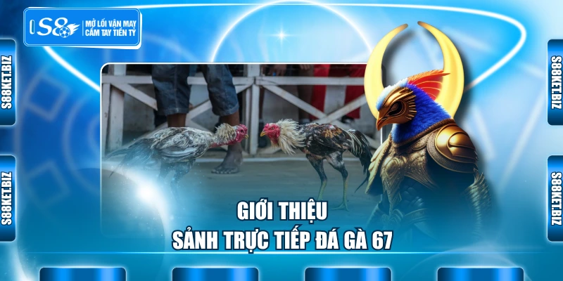 Giới thiệu sảnh trực tiếp đá gà 67